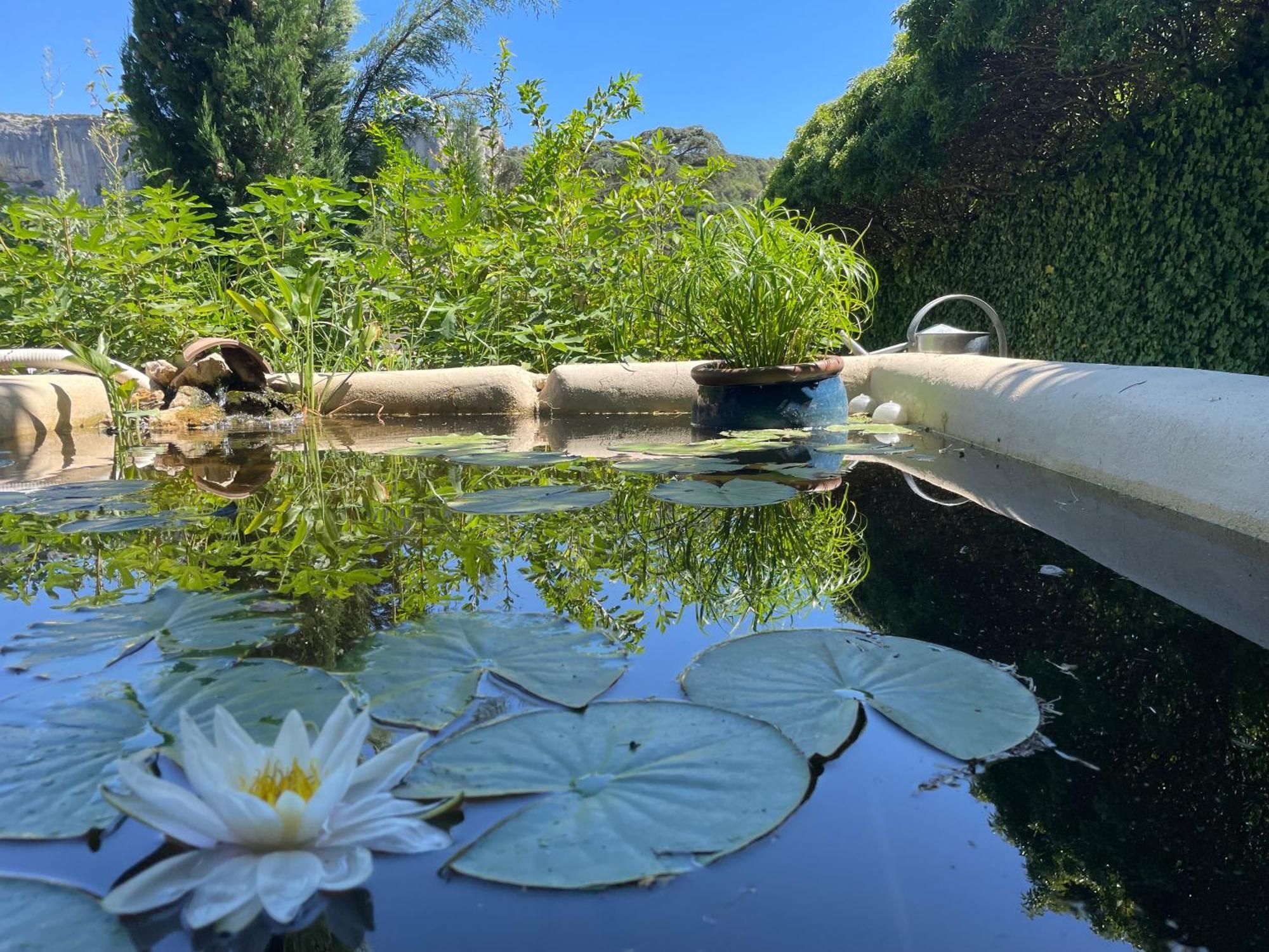 Le Mas Aux Cedres - Teritoria Otel Lioux Dış mekan fotoğraf